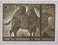 AlcornStephen-Camel-sj. Alcorn, 