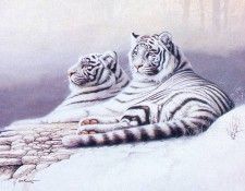 kb Franco Manuel-Where Silence Wispers. ������, ������� S