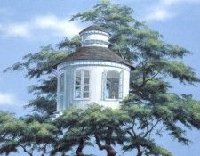 evelyn taylor 023. ������, ������