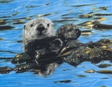 kb Harrison In Our Care. ��������, �����