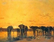 African Elephants. Tournemine,  