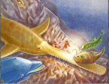 f cb01 Riccardo-Bellettati Pony10. Bellettati, ��������