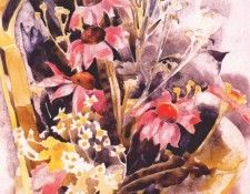 demuth african daisies 1925. �����, ������