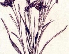 43976. Cathelin ������