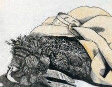 art 232. , 