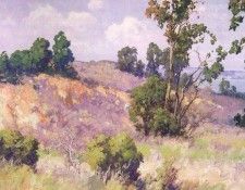 braun2. �����, �����