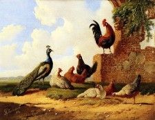 Verhoeven Albertus Birds Sun . ��������, �������