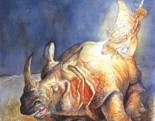 s2-011-OmarRayyan-RhinoToothFairy. �����, ����