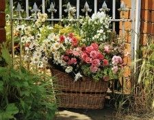 Marie OHara - Basket with Roses, De. , 