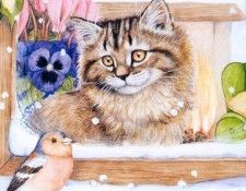 kb Cook Debbie 2000 12. , 