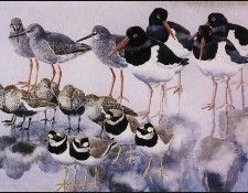 43622. Tunnicliffe, ������