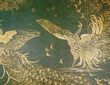 peacock-fight. ,   