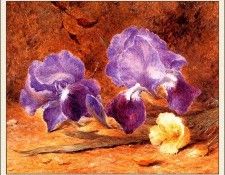 bs-flo- John Jessop Hardwick- Iris And Christmas Rose. ,  