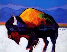 bs-aaw-JohnNieto-BuffaloInTheSnow. ,  Santana