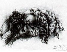 03099. Pignatelli, ������