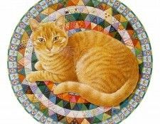 kb Ivory 25. ������, ����� ���