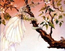 Gbd 0006 The Japanese Butterfly Lizard GraemeBase sqs. ����, ����