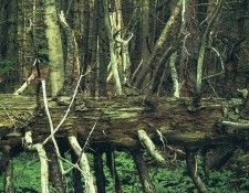 art 676. , 