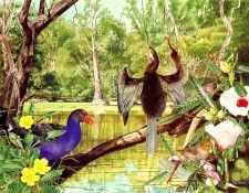 Oz AGls055 Tony Oliver Darter. , 