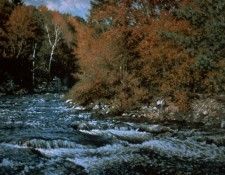 WHITNEY Richard Burst of Autumn 30x40 35mm slide. �����, ������
