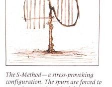 bs GOR 82 The S Method. �������, �����