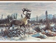 zFox SWD JC 32 Caribou In Winter. , 