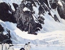 Parker, Ron - Adelie Penguin (end. , 