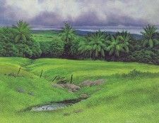 lrs Cost Curtis Bird Bath. ���������, ������