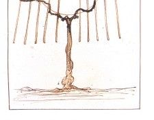 bs GOR 84 Double Spiral. �������, �����