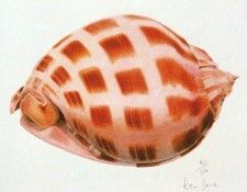 22980. ������, ���