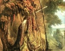 Tna 0009 Along the Wabash-[ Left ] KarlBodmer, 1832-34 sqs. ������, ����