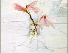 ShorrHarriet-Magnolia-sj. , 