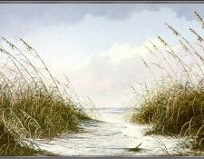 Harrison-CoastalDunes-sj. , Curwood
