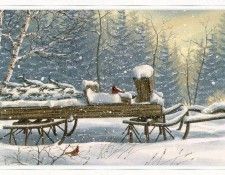 GlasnapKathy-TwilightSleigh-sj. Glasnap, ����