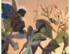 kb Cross Tom Win Confederate Jasmine Fairy. , 
