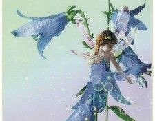 kb Cross Tom Aut Bluebell Fairy. �����, ���