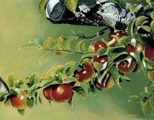 Jules Bouchard - Thirteen to a Dozen, De. �����, ����