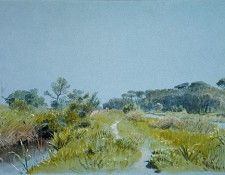 05173. Haseltine, ������ ������