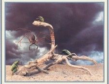 NorfleetB 35 RainFollowsthePlow-WeaSDC. Norfleet, �������