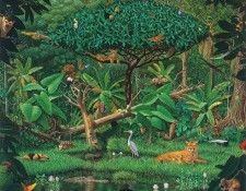 kb Bragg CL Secrets of the Rainforest. ,  