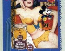 art 204. ������, ����