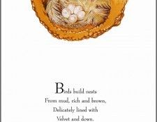 pa TonyOliver BirdsBuildNests 07a. ������, ����