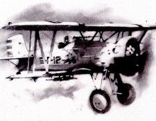 zFox SDC 184 IS09 Gary Davis 01. �����, ����