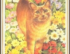IvoryLesleyAnne GC The Golden Cat-WeaSnF. ,  