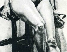 Image 273. �����������, ������