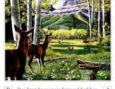 A Mountain Alphabet 0004 D AndrewKiss sqs. , 