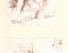 38073. �������, �������