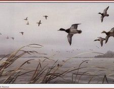 HautmanJoseph Mallard Moment We@ISC. Hautman 