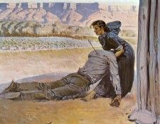 zFox SWD HVS 14 Comanche Arrow. ������, ������� ���