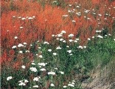 art 698. , 